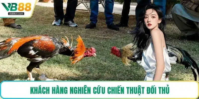 Khách hàng nghiên cứu chiến thuật đối thủ